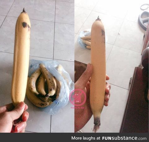 In case you have never seen a straight banana before