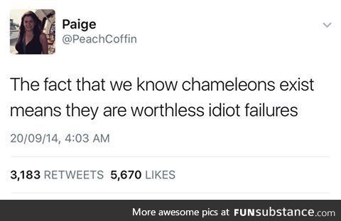 Shame on a chameleon