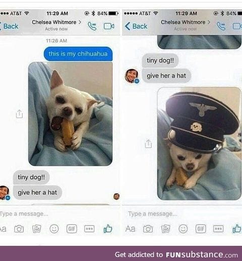 Doggo