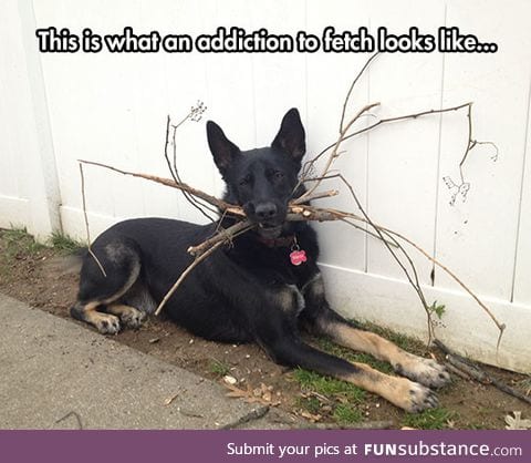 Addiction to fetch