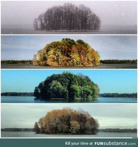 Seasons