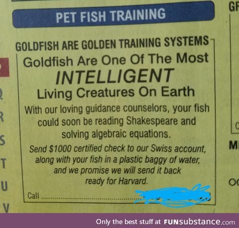 Seems legit