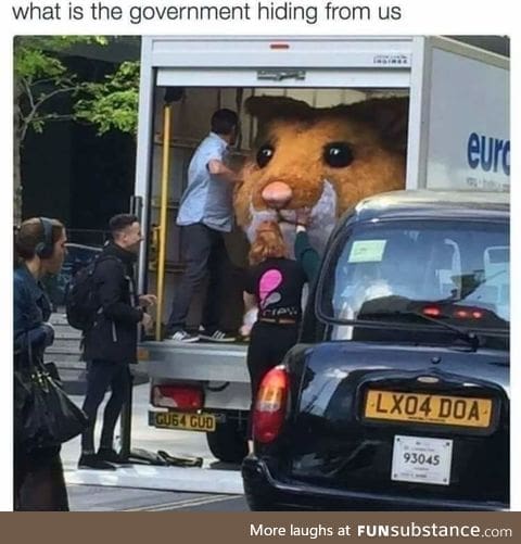 The truth is out there...