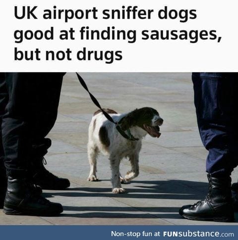 *hides my sausage*