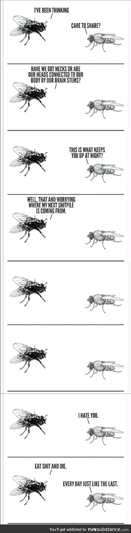 Wiseflies