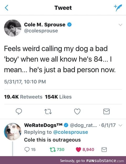 They're good dogs, cale