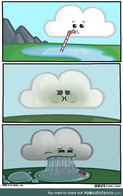 The water cycle