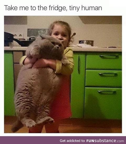 what a big kitty cat.. :o