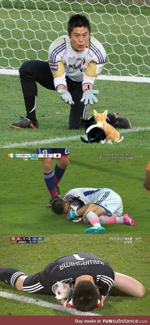 Soccer balls replaced with cats