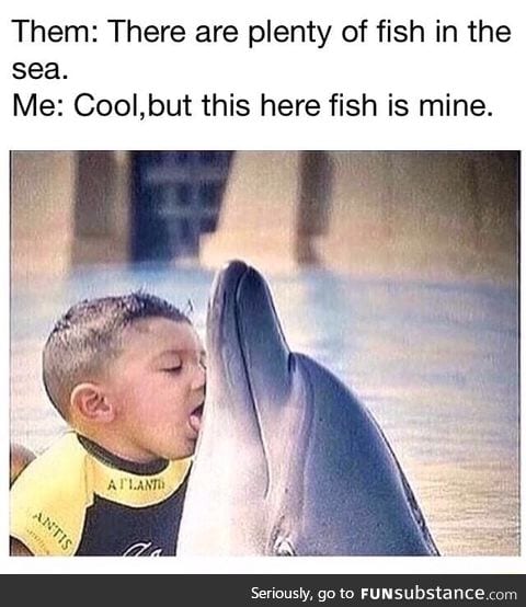 How did this dolphin seduce this boy