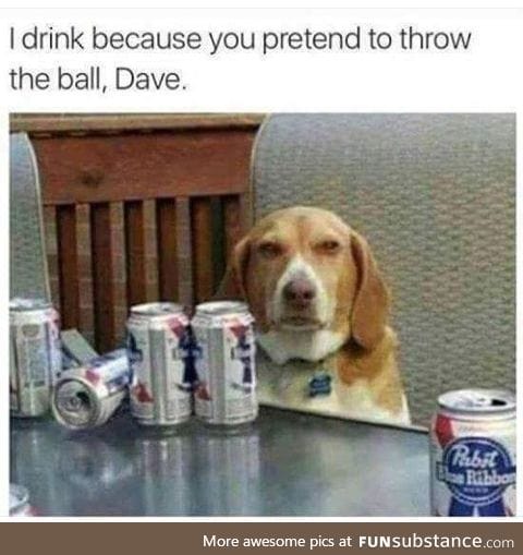 Damn it dave