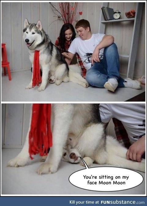 Why you do this Moon Moon