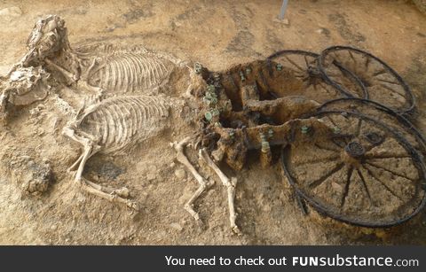 2,000-year-old Thracian chariot and horses found in Bulgaria