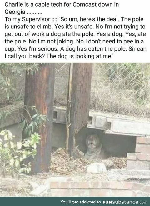 This is in dire need of reposting