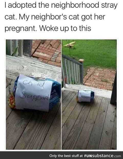 Cat child support