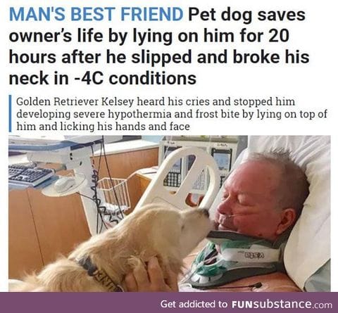 Dog saved man's life