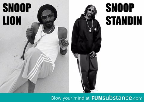 Snoop Lion