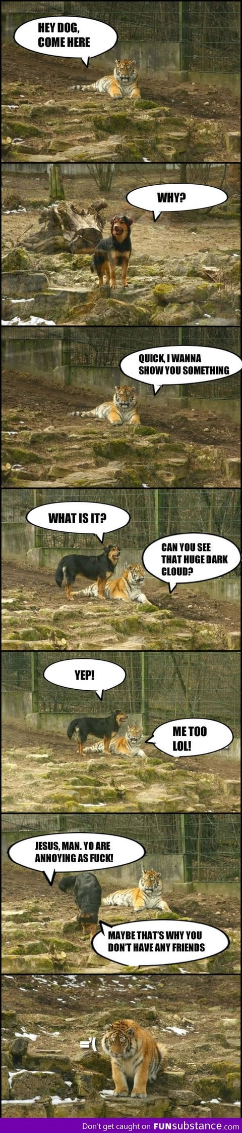The Dog And The Tiger