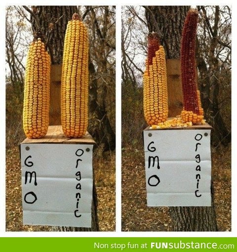 Interesting experiment