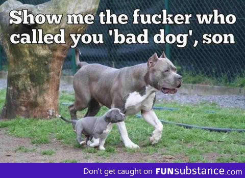 Show me son