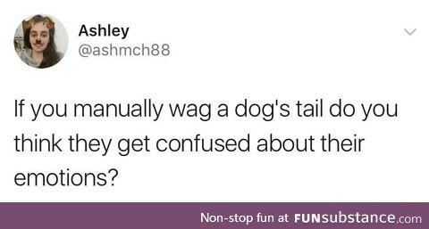 Wag the dogs tail