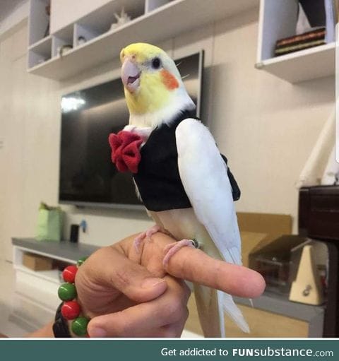 It's his special day!