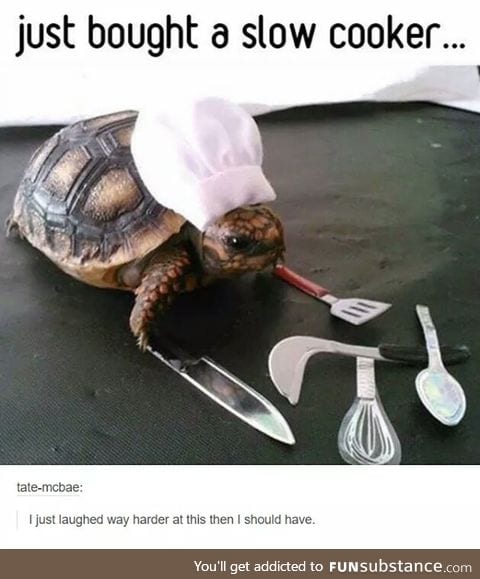 Smol chef