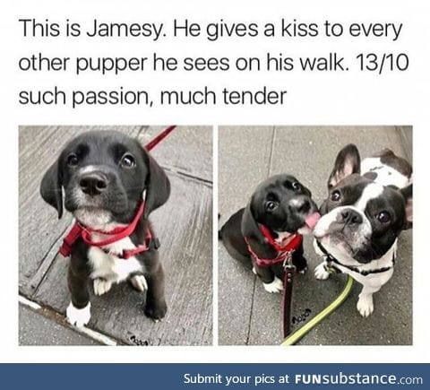 Much cute