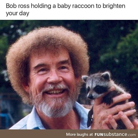 Bob Ross holding a baby raccoon