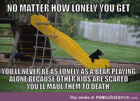 We should feel sorry for the bear