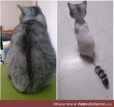 Just fluffy...Not fat