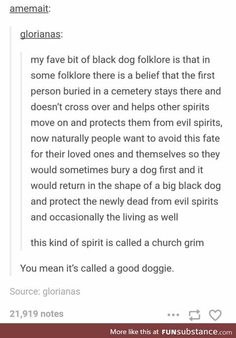 I'm naming my future dog Dogmeat