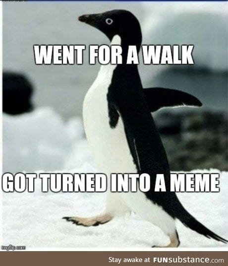 Socially awkward penguin.. Origins