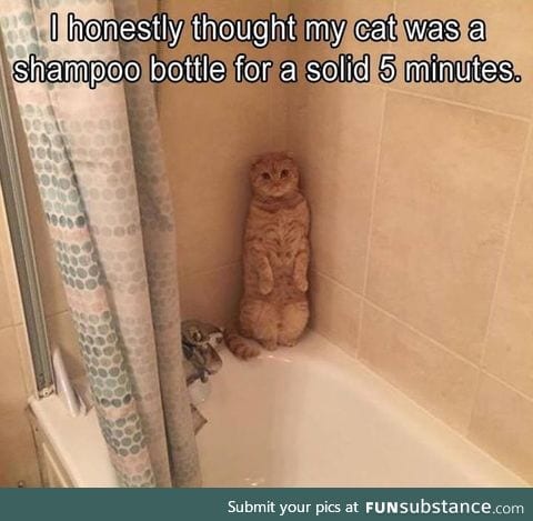 Well I mean... Isn't it obvious that it's a shampoo bottle