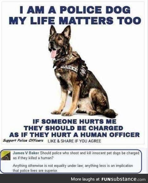 Cops love shooting dogs