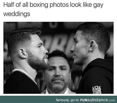 Cos they're all gaaay