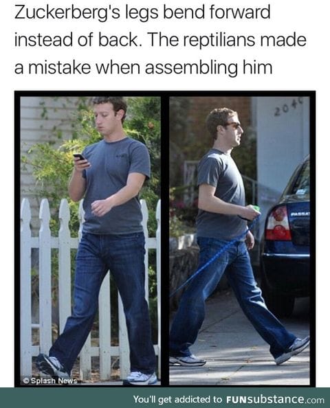 Mark Zuckerberg may not be human