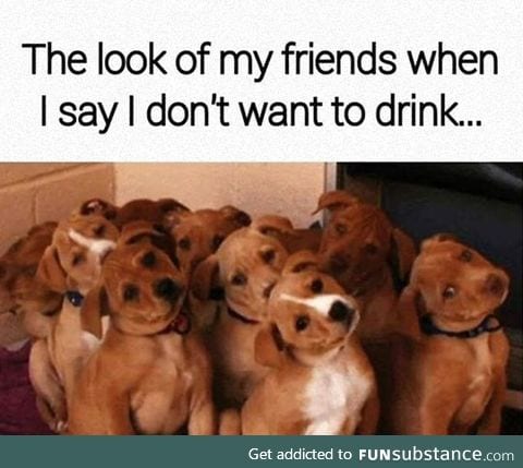 Puppy face look