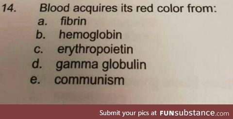 Haem groups for all