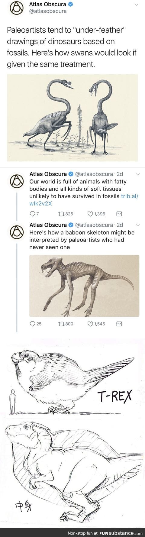 Dinosaurs have more feathers