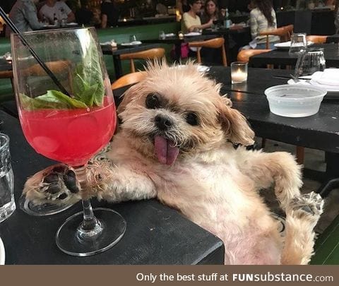 come girl, have a drink with me