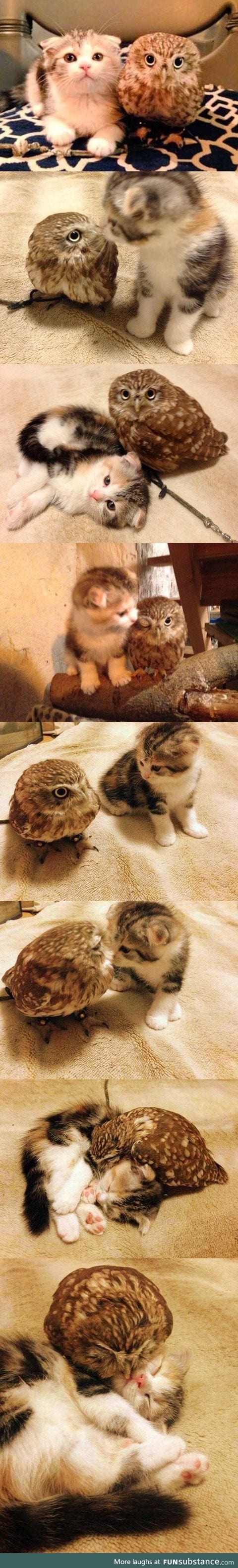 best friends 4 ever