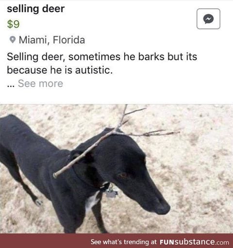 Autistic Deer