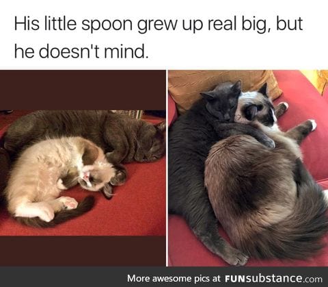 Little Spoon Becomes Bigger Spoon