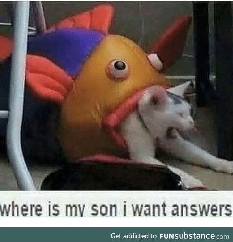 Finding Nemo is just Taken with fish