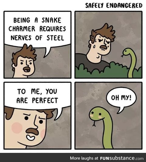 Perfect snek