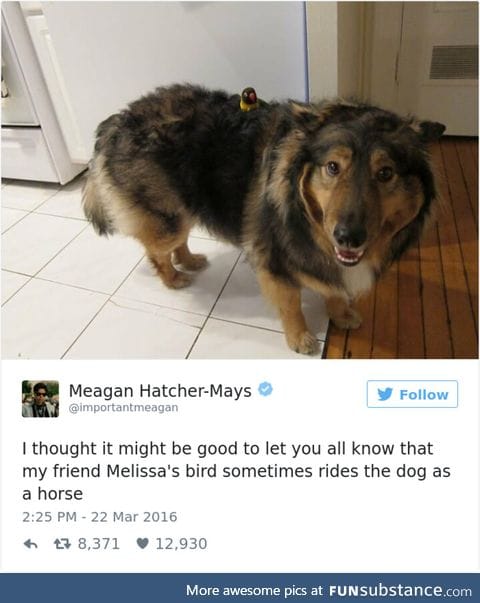 To battle