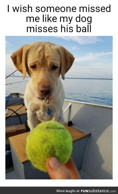 I wish I could afford a ball