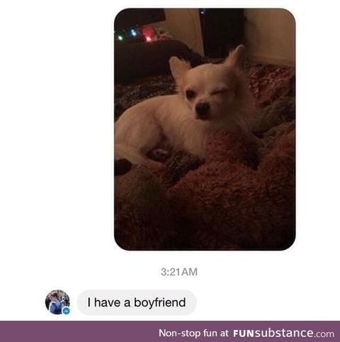 But is your boyfriend a dog?