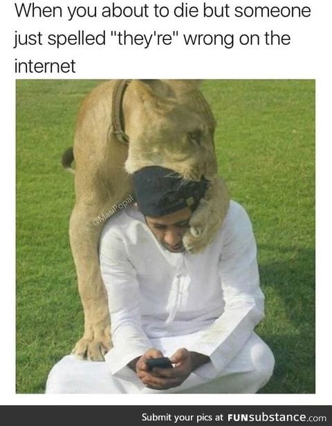 That lioness must feel like eating a bag of chips